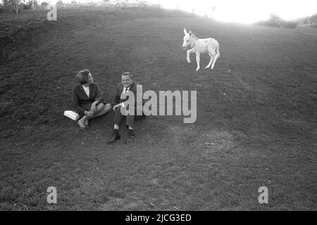 Franz Josef STRAUSS et son épouse Marianne, Allemagne, homme politique, CSU, premier ministre bavarois, Assis dans l'herbe, un poulain d'âne saute dans l'arrière-plan, photo noir et blanc, lors de son voyage en Perse (Iran), septembre 1966, Banque D'Images