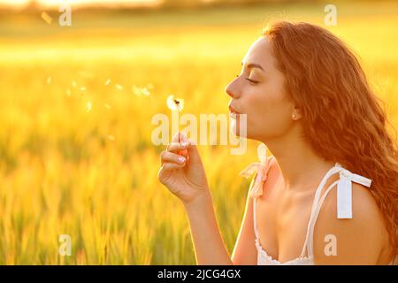 Profil d'une femme soufflant un pissenlit dans un champ de blé au coucher du soleil Banque D'Images