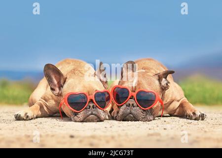 Paire de chiens Bulldog français portant des lunettes de soleil rouges en forme de coeur en été Banque D'Images