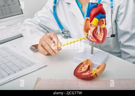 Consultation de cardiologie, traitement des cardiopathies. médecin cardiologue lors d'une consultation montrant un modèle anatomique de coeur humain Banque D'Images