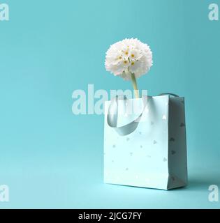 Fleur blanche dans le sac à provisions sur fond rose. Composition florale, espace de copie. Banque D'Images