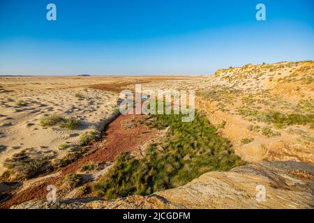 Une oasis et une petite cascade au milieu du Sahara marocain Banque D'Images