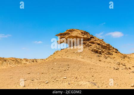 Le Rocher du Lion au milieu du Sahara marocain Banque D'Images