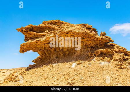 Le Rocher du Lion au milieu du Sahara marocain Banque D'Images