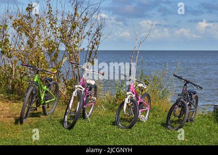 Spit de Courlande, Russie - 5 août 2020. Des vélos pour une promenade en famille sur une pelouse verte sur la toile de fond de la baie. Vacances en famille Banque D'Images