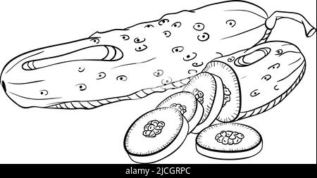 Concombre entier et coupé en tranches de style coodle Illustration de Vecteur