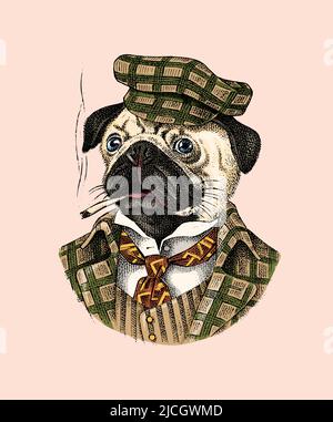 Chien PUG fume un cigare dans un costume en tweed.Personnage animal mode dans les vêtements.Esquisse dessinée à la main.Illustration vectorielle gravée pour étiquette, logo et T Illustration de Vecteur