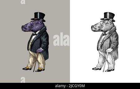 Hippopotame tendance.Homme antique dans une veste et un chapeau.Vêtements rétro anciens de style victorien.Un homme en costume.Style de gravure vintage Illustration de Vecteur