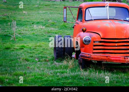 Ancien camion de travail rouge abandonné dans un champ de ferme vert Banque D'Images