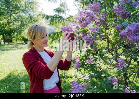 Une femme prend des photos de lilas sur son smartphone. Banque D'Images