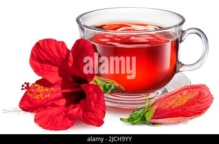 Tasse transparente en verre avec thé hibiscus, grosse fleur et burgeon hibiscus isolé sur fond blanc. Banque D'Images