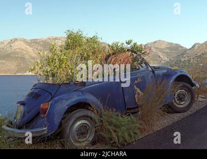 La vieille Volkswagen Beetle recyclée comme un plantoir de bord de route, l'île de Tilos Dodécanèse, près de Rhodes Grèce Banque D'Images