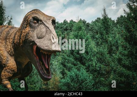 Modèle de taille réelle du dinosaure tyrannosaurus rex dans le parc jurassic Banque D'Images