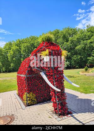 Sculpture d'éléphant faite de fleurs. Kurpark Hamm, Rhénanie-du-Nord-Westphalie, Allemagne Banque D'Images