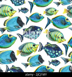 Divers poissons tropicaux, un troupeau. Illustration aquarelle. Motif sans couture sur fond blanc. Pour les textiles, le tissu, le papier, le papier peint, les couvertures Banque D'Images