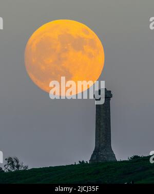 Portesham, Dorset, Royaume-Uni. 13th juin 2022. Météo Royaume-Uni. Le Strawberry Super Moon presque plein brille d'orange alors qu'il s'élève de derrière le monument Hardy à Portesham dans Dorset. Le monument a été construit en 1844 à la mémoire du vice-amiral Sir Thomas Masterman Hardy, capitaine de drapeau de la victoire du HMS à la bataille de Trafalgar. Crédit photo : Graham Hunt/Alamy Live News Banque D'Images