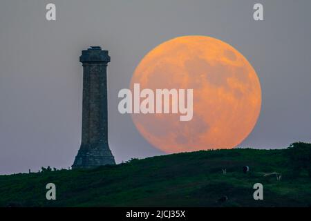 Portesham, Dorset, Royaume-Uni. 13th juin 2022. Météo Royaume-Uni. Le Strawberry Super Moon presque plein brille d'orange alors qu'il s'élève de derrière le monument Hardy à Portesham dans Dorset. Le monument a été construit en 1844 à la mémoire du vice-amiral Sir Thomas Masterman Hardy, capitaine de drapeau de la victoire du HMS à la bataille de Trafalgar. Crédit photo : Graham Hunt/Alamy Live News Banque D'Images