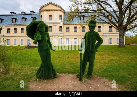 Fleurs de jardin dans les décorations de parc vert d'été. Banque D'Images