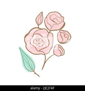 Fleur rose délicate à motif vectoriel avec bordure dorée. Illustration aquarelle dessinée à la main. Fleur pour le mariage. Illustration de Vecteur