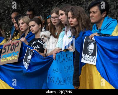 Sofia, Bulgarie, 13 juin 2022: Le peuple détient le drapeau ukrainien et les signes de piquetage Arrêter le génocide, nous avons vaincu le nazisme - nous allons vaincre le Raschisme, Rus Banque D'Images
