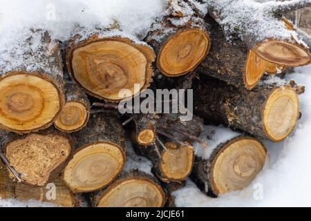 Bouquet de gros bois de chauffage scié pour le chauffage de maison de campagne entièrement couvert de neige placé à l'extérieur sur le sol dans l'arrière-cour dans la journée. Cheminée de remplissage pour Banque D'Images