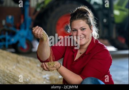 PRODUCTION - 08 juin 2022, Saxe-Anhalt, Könern: L'avoine s'enlache à travers les mains de Marie Saudhof sur la ferme de Könern. Le jeune agronome reprend la ferme de son père et poursuit l'activité agricole. Les Saudorhofs pratiquent l'agriculture biologique depuis 2001. (À dpa "émotive et bureaucratique: La succession agricole dans l'agriculture") photo: Hendrik Schmidt/dpa Banque D'Images