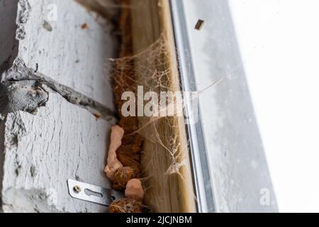 Fixation d'une fenêtre en plastique sur un mur de blocs de béton cellulaire. Fenêtre sur un site de construction abandonné dans une toile d'araignée. Ancienne et nouvelle mousse de montage Banque D'Images