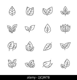 Icônes de feuilles linéaires, symboles de contour de feuilles vectorielles de plantes d'arbres ou de nature. Symboles de feuilles pour l'environnement, l'écologie et l'agriculture, le jardinage, bio et biologique ou végétalien et végétarien Illustration de Vecteur