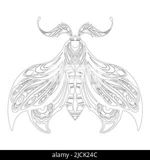 Tracé de contour vectoriel d'une papillon. Dessin monochrome d'un papillon de nuit avec décoration de trasery. Outline insecte avec ailes ornementales Illustration de Vecteur