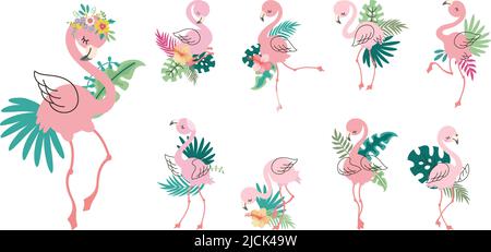 Rose tropical flamant. Caricature flamants avec feuilles de palmier exotiques. Différents oiseaux africains, autocollants de fête de plage. Adorable animal vectoriel de nowaday Illustration de Vecteur
