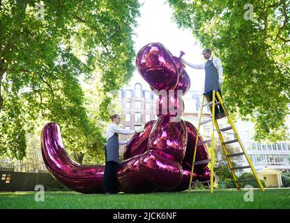 La sculpture de l’artiste Jeff Koons Balloon Monkey (Magenta), 2006-13, avec une estimation de 6 000 000 à 10 000 000 livres sterling exposés sur la place St James, Londres, avant d’être vendue par Christie's pour recueillir des fonds pour l’aide humanitaire à l’Ukraine. Date de la photo: Mardi 14 juin 2022. Banque D'Images