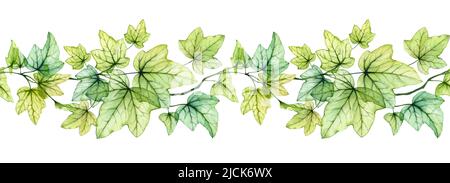 Bordure sans couture aquarelle avec feuilles transparentes. Usine de lierre anglaise. Ligne horizontale. Feuillage de raisin frais isolé sur blanc Banque D'Images