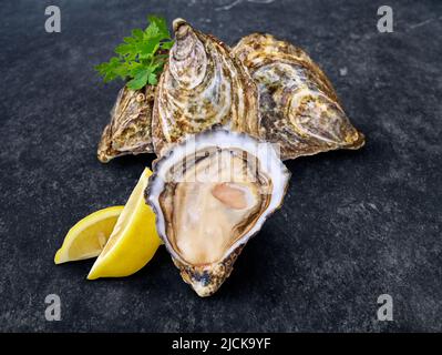 Ouvrez les palourdes d'huîtres fraîches et crues isolées et prêtes à manger. Banque D'Images