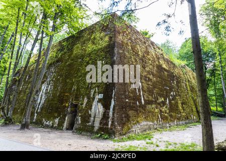 Bunker de Bormann dans Wolf's Lair. Ancien quartier général de guerre d'Adolf Hitler en Pologne Banque D'Images