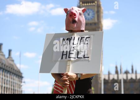 Le manifestant Deborah Smith, 56 ans, de West Sussex, porte un masque de porc et tient une bannière lors d'une manifestation compassion in World Farming 'Ban Live Exports' sur la place du Parlement, à Londres. Date de la photo: Mardi 14 juin 2022. Banque D'Images