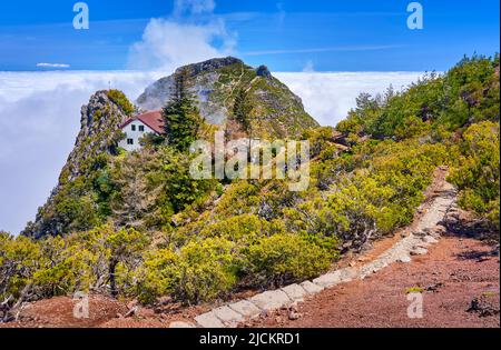 Sentier de randonnée vers Pico Ruivo, île de Madère, Portugal Banque D'Images