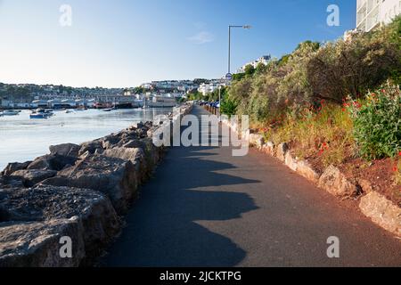 Royaume-Uni, Angleterre, Devon, Torbay, Brixham, Sentier au bord de l'eau près de Freshwater Cove avec le port de Brixham au-delà Banque D'Images