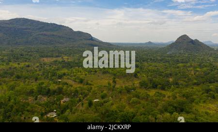 Vue de dessus de paysage rustique avec terres agricoles et fermes parmi les montagnes et les forêts. Sri Lanka. Banque D'Images
