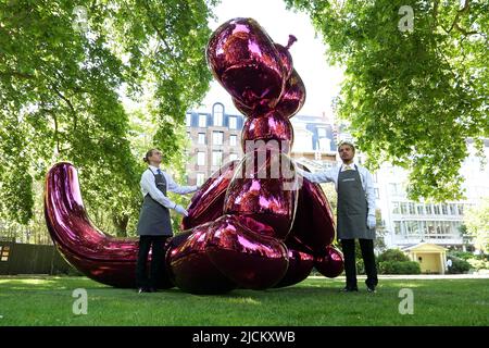 Le 28 juin Jeff Koons sculpture séminale Balloon Monkey ( Magenta ) 2006-13 estimation £6 000 000-£10 000 000 sera présenté à la vente à Christie's par Victor et Olena Pinchuk pour recueillir des fonds essentiels pour l'aide humanitaire pour l'Ukraine. Les procédures seront utilisées pour aider les soldats et les civils gravement blessés par la guerre qui ont besoin d'urgence de prothèses , le traitement médical et la réadaptation pour récupérer autant de qualité de vie que possible. représentant l'innocence et la joie de l'enfance pour les enfants et les adultes .. Banque D'Images