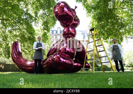 Le 28 juin Jeff Koons sculpture séminale Balloon Monkey ( Magenta ) 2006-13 estimation £6 000 000-£10 000 000 sera présenté à la vente à Christie's par Victor et Olena Pinchuk pour recueillir des fonds essentiels pour l'aide humanitaire pour l'Ukraine. Les procédures seront utilisées pour aider les soldats et les civils gravement blessés par la guerre qui ont besoin d'urgence de prothèses , le traitement médical et la réadaptation pour récupérer autant de qualité de vie que possible. représentant l'innocence et la joie de l'enfance pour les enfants et les adultes .. Banque D'Images