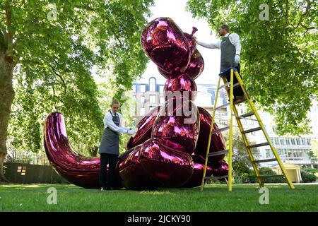 Le 28 juin Jeff Koons sculpture séminale Balloon Monkey ( Magenta ) 2006-13 estimation £6 000 000-£10 000 000 sera présenté à la vente à Christie's par Victor et Olena Pinchuk pour recueillir des fonds essentiels pour l'aide humanitaire pour l'Ukraine. Les procédures seront utilisées pour aider les soldats et les civils gravement blessés par la guerre qui ont besoin d'urgence de prothèses , le traitement médical et la réadaptation pour récupérer autant de qualité de vie que possible. représentant l'innocence et la joie de l'enfance pour les enfants et les adultes .. Banque D'Images