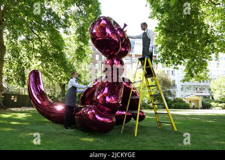 Le 28 juin Jeff Koons sculpture séminale Balloon Monkey ( Magenta ) 2006-13 estimation £6 000 000-£10 000 000 sera présenté à la vente à Christie's par Victor et Olena Pinchuk pour recueillir des fonds essentiels pour l'aide humanitaire pour l'Ukraine. Les procédures seront utilisées pour aider les soldats et les civils gravement blessés par la guerre qui ont besoin d'urgence de prothèses , le traitement médical et la réadaptation pour récupérer autant de qualité de vie que possible. représentant l'innocence et la joie de l'enfance pour les enfants et les adultes .. Banque D'Images