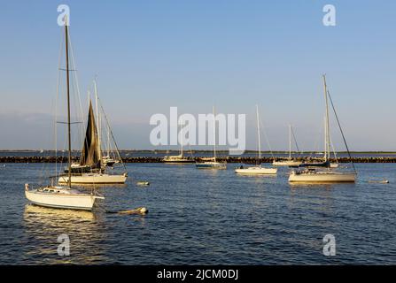 Vue panoramique sur de nombreux bateaux, yachts et voiliers amarrés Banque D'Images