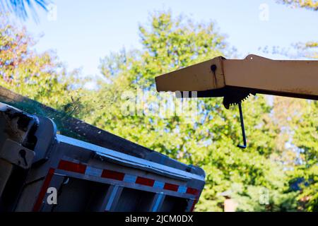 Arbre pour l'écaillage de l'hespérie de bois au travail déchiqueteuse de machines Banque D'Images