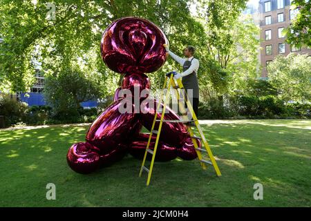 Le 28 juin Jeff Koons sculpture séminale Balloon Monkey ( Magenta ) 2006-13 estimation £6 000 000-£10 000 000 sera présenté à la vente à Christie's par Victor et Olena Pinchuk pour recueillir des fonds essentiels pour l'aide humanitaire pour l'Ukraine. Les procédures seront utilisées pour aider les soldats et les civils gravement blessés par la guerre qui ont besoin d'urgence de prothèses , le traitement médical et la réadaptation pour récupérer autant de qualité de vie que possible. représentant l'innocence et la joie de l'enfance pour les enfants et les adultes .. Banque D'Images