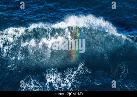 Un arc-en-ciel vu dans le jet de la vague d'arc d'un bateau de croisière dans le Skagerrak au large du Danemark Banque D'Images