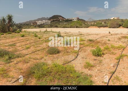 Les prairies et les champs tribaux négligés de Mojacar, où le système d'irrigation défaillant a des zones de mauvaises herbes qui se développent maintenant Banque D'Images