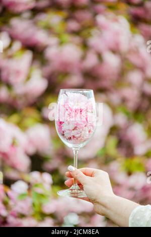 Arrière-plan de printemps abstrait, verre à vin avec fleurs sur un arrière-plan de sakura en fleur. Mise au point sélective douce. Banque D'Images