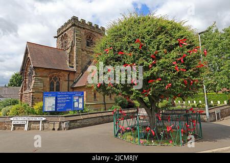 Église de Sainte-Croix, et arbre de Thorn habillé pour la cérémonie de Bawming of the Thorn, Appleton Thorn, Warrington, Cheshire, Angleterre, ROYAUME-UNI, WA4 4QU