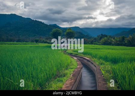 Photo d'un chalet dans les rizières de Lamsujen, Aceh, Indonésie. Banque D'Images